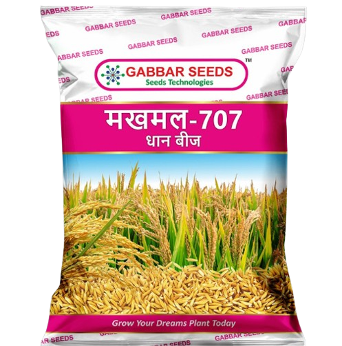 Makhamal---707-Dhaan-Beej